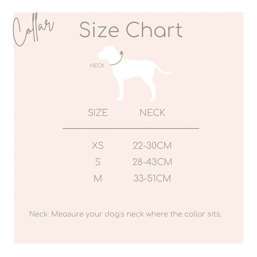 Katy&Grace - Halsband Classic Hound