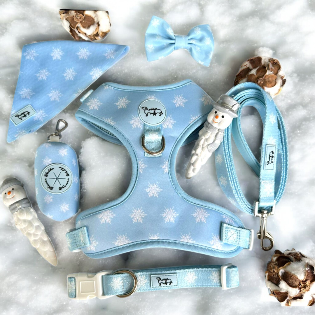 WIENER WALKS Bundle - Snowflake (6-teilig)