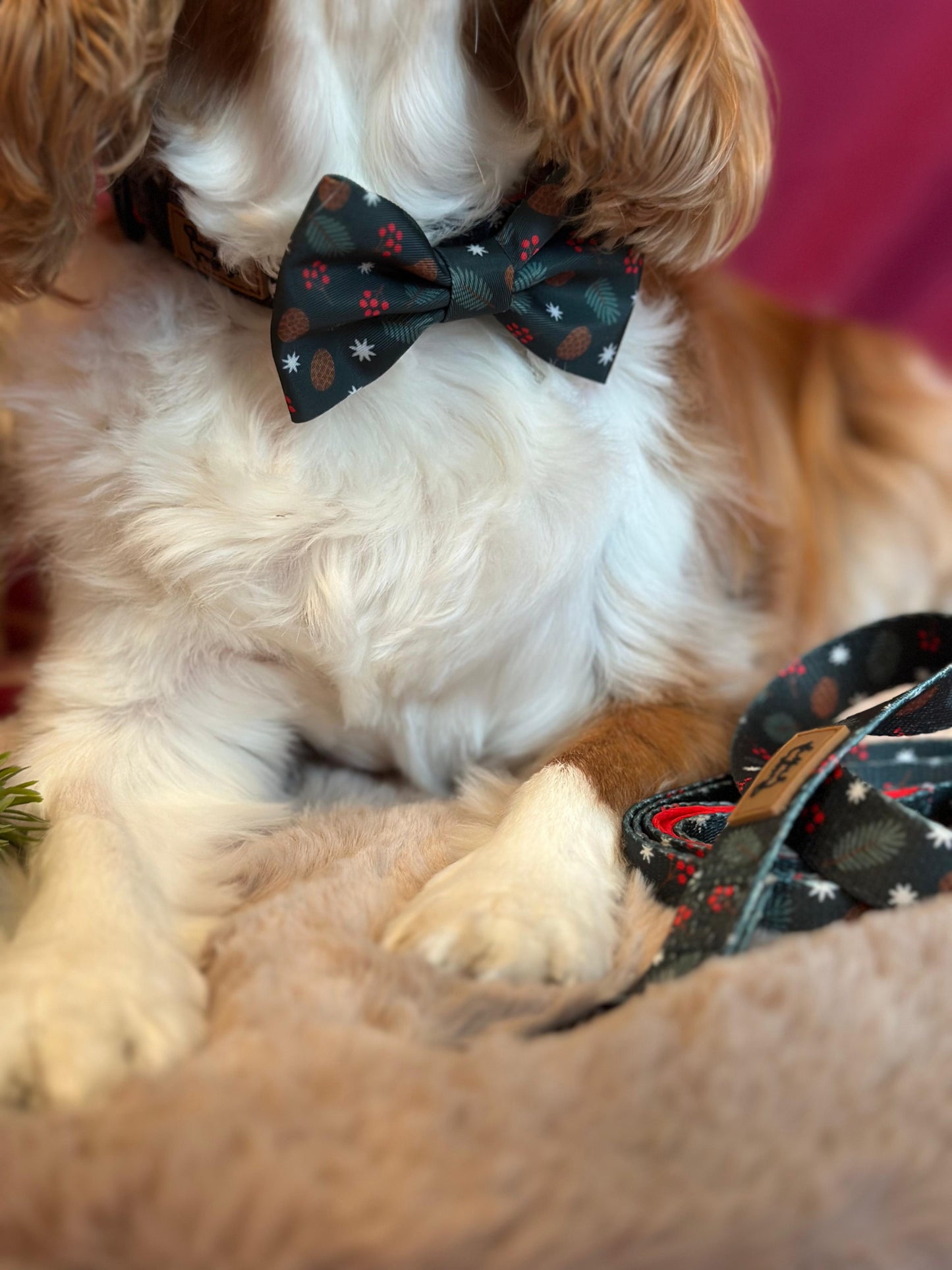 WIENER WALKS - Halsband Pineberry