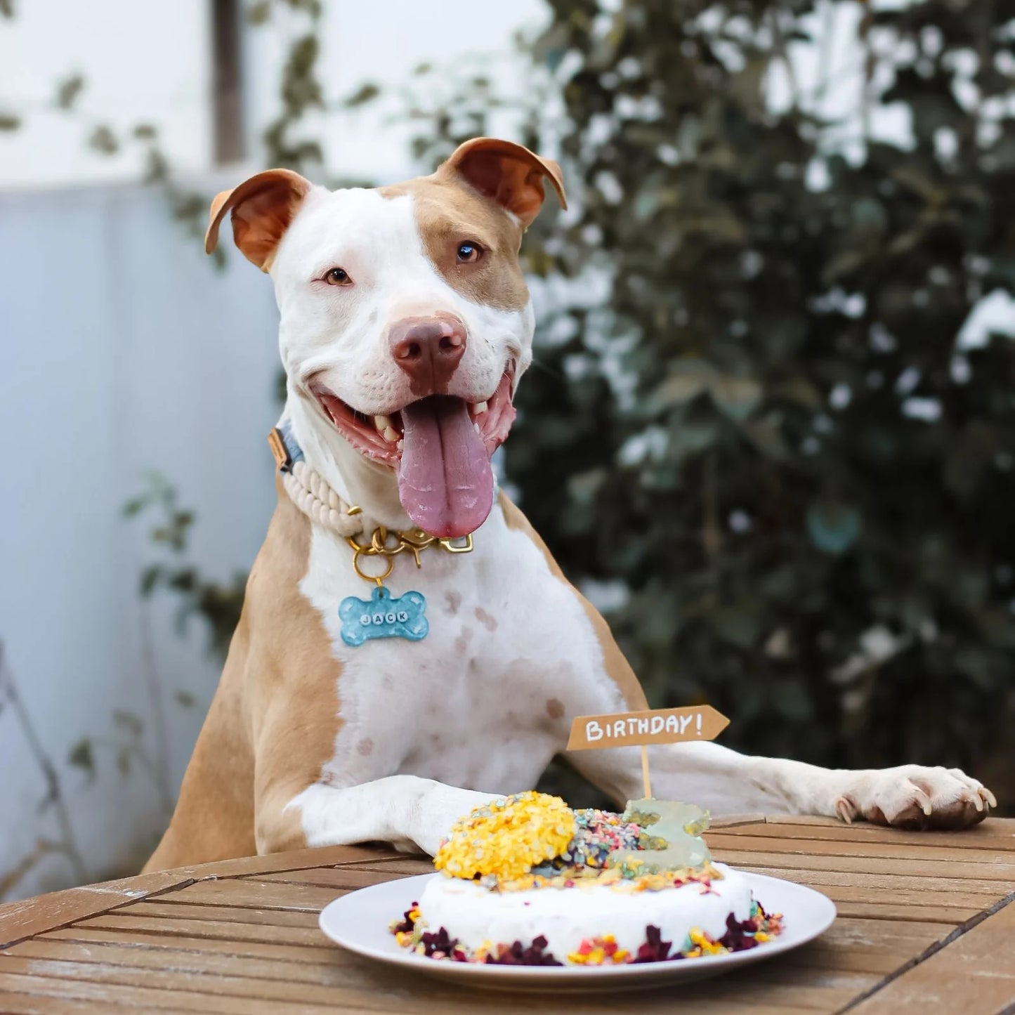 COOKAS COOKIES - Backmischung für Hundekuchen, Garnele