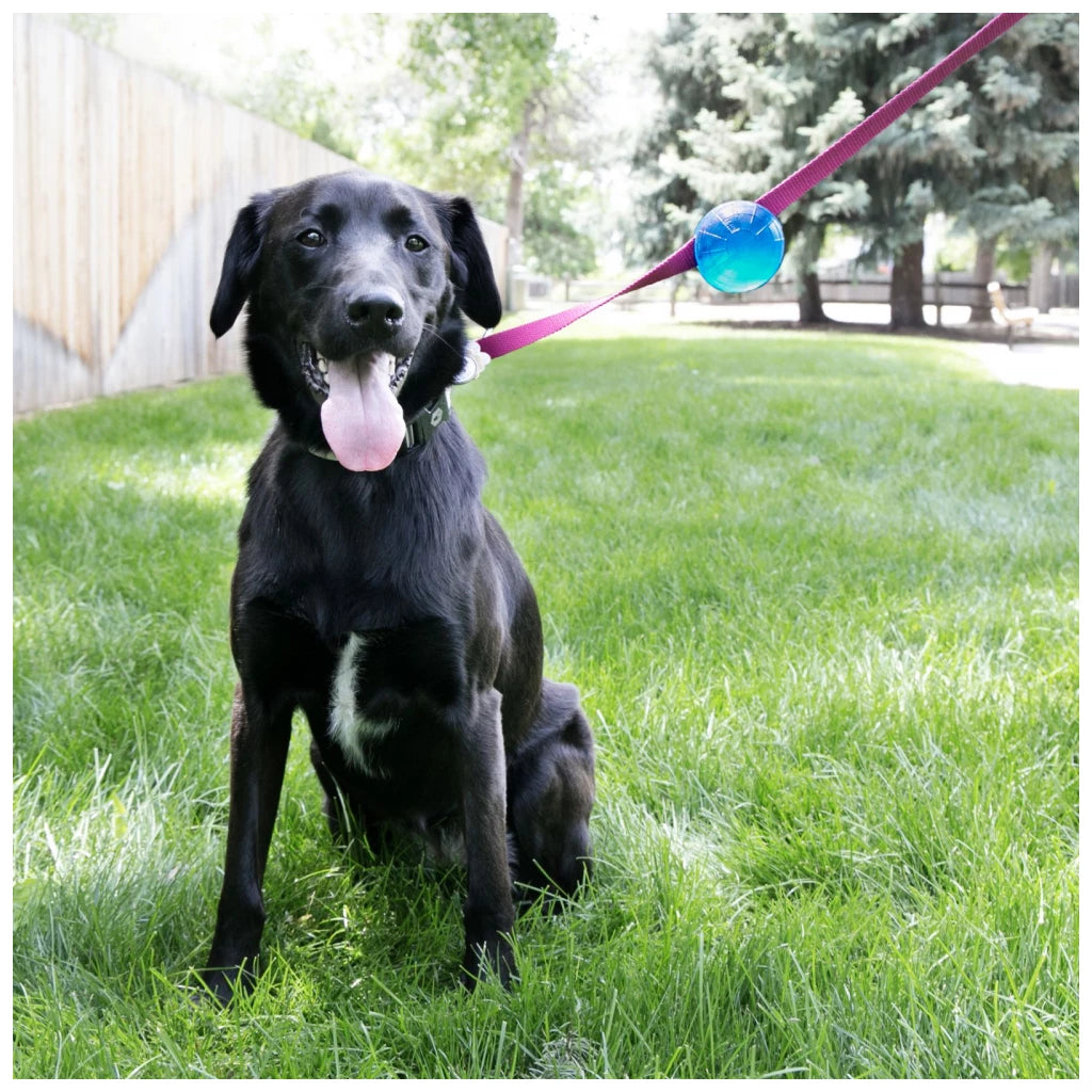 KONG - TagALong Ball, grün
