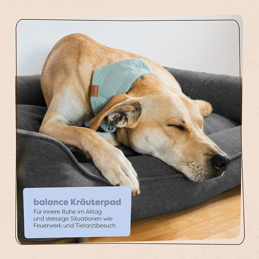 LÖWENKIND dogs - Balance Kräuterpads