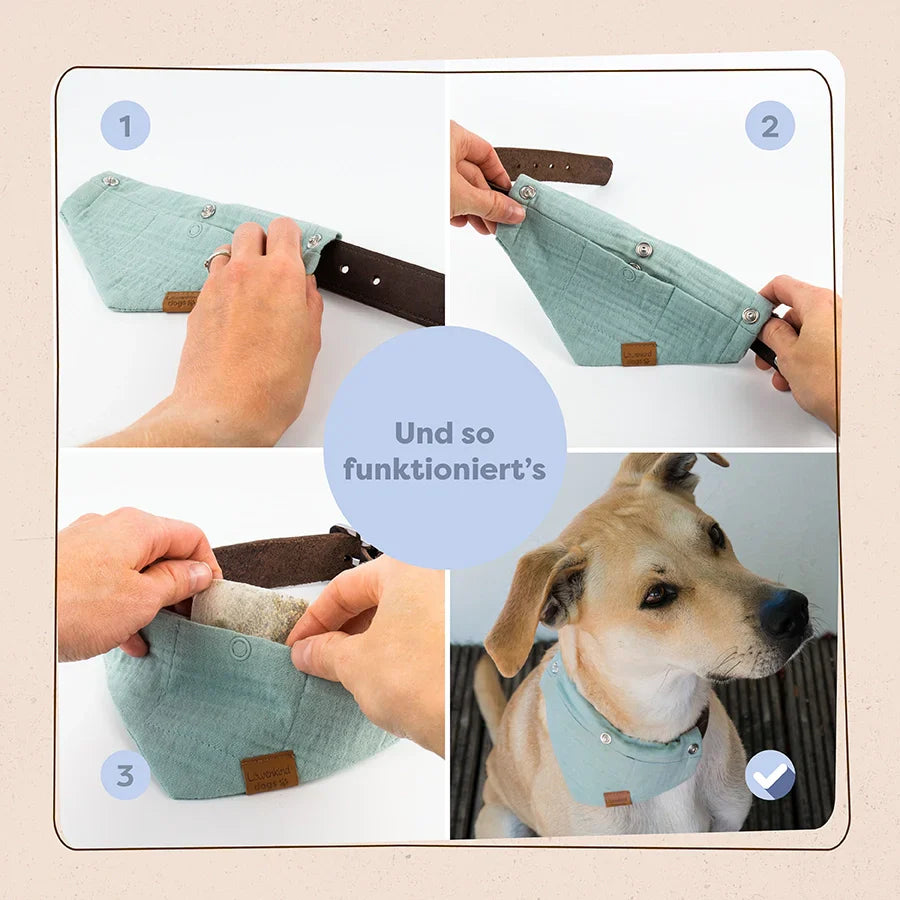 LÖWENKIND dogs - Balance Kräuterpads