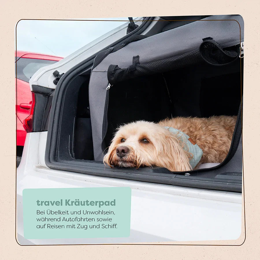 LÖWENKIND dogs - Travel Kräuterpads