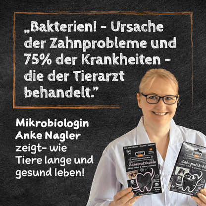 QCHEFS - Zahnputzkohle