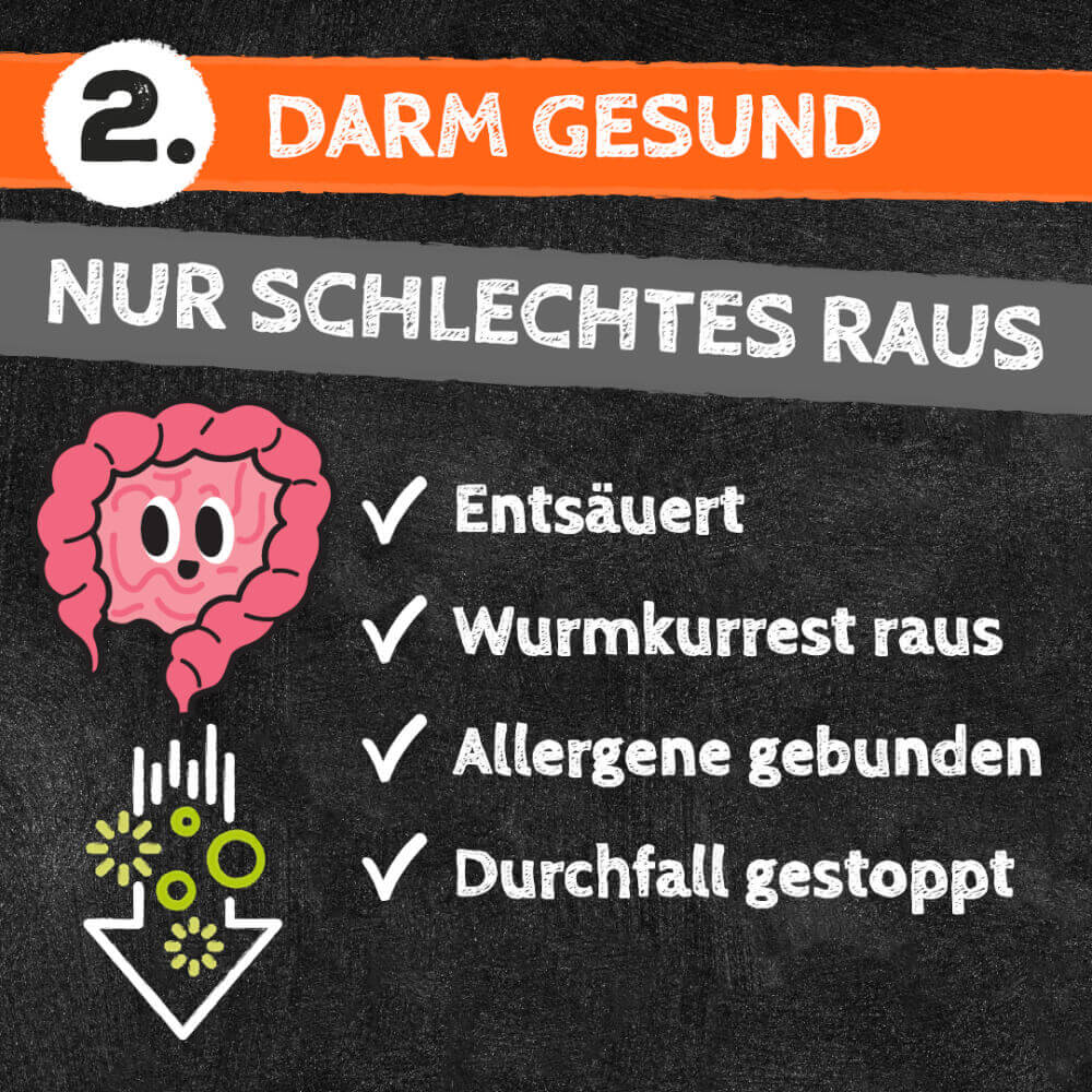 QCHEFS - Zahnputzkohle