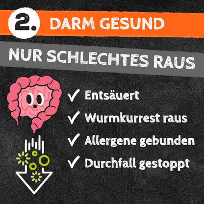 QCHEFS - Zahnputzkohle
