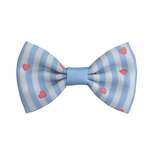 FELLEVER & PAWAYS Bowtie - Sweetheart