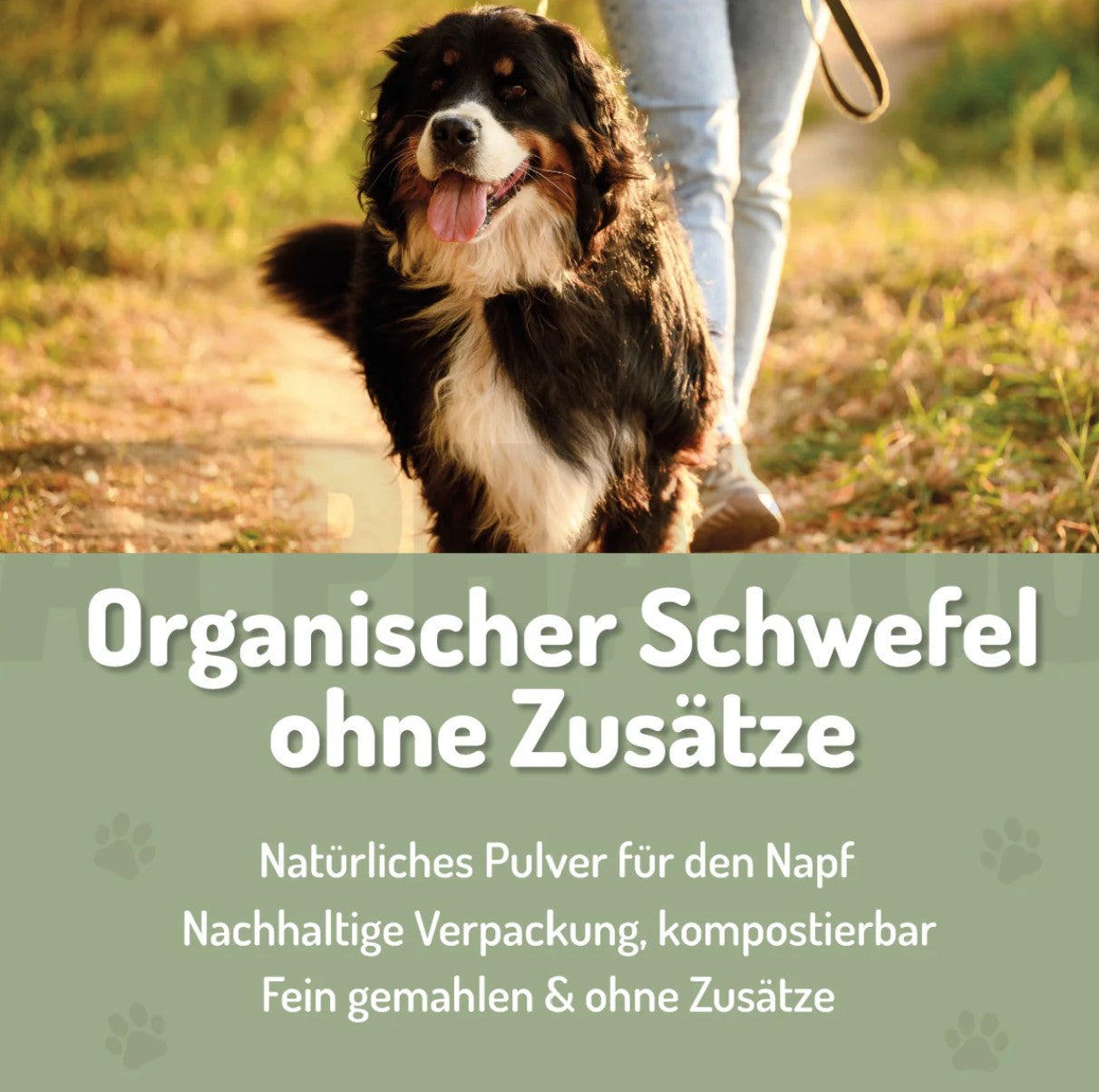 ALPHAZOO - MSM Schwefel-Pulver