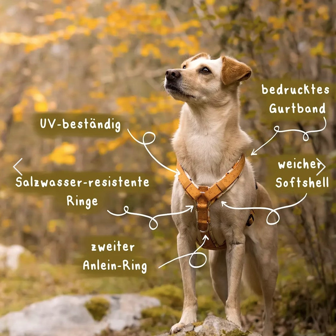 LOLINQ Geschirr - Orbital Planets, gelb