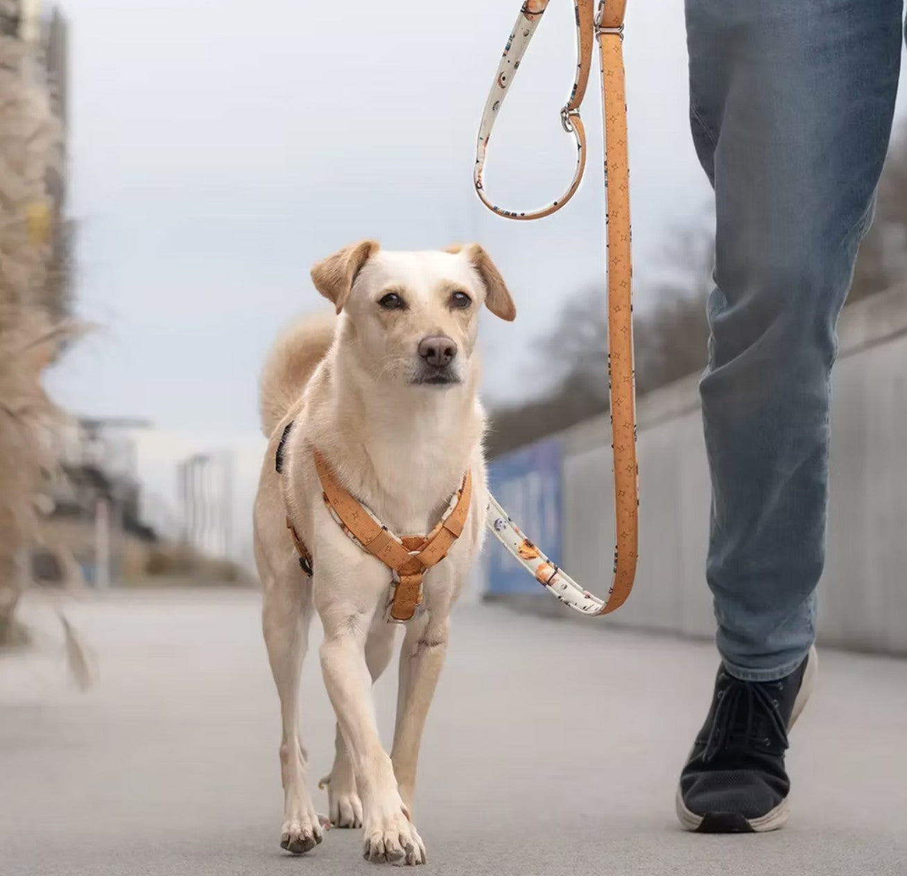 LOLINQ Geschirr - Orbital Planets, gelb