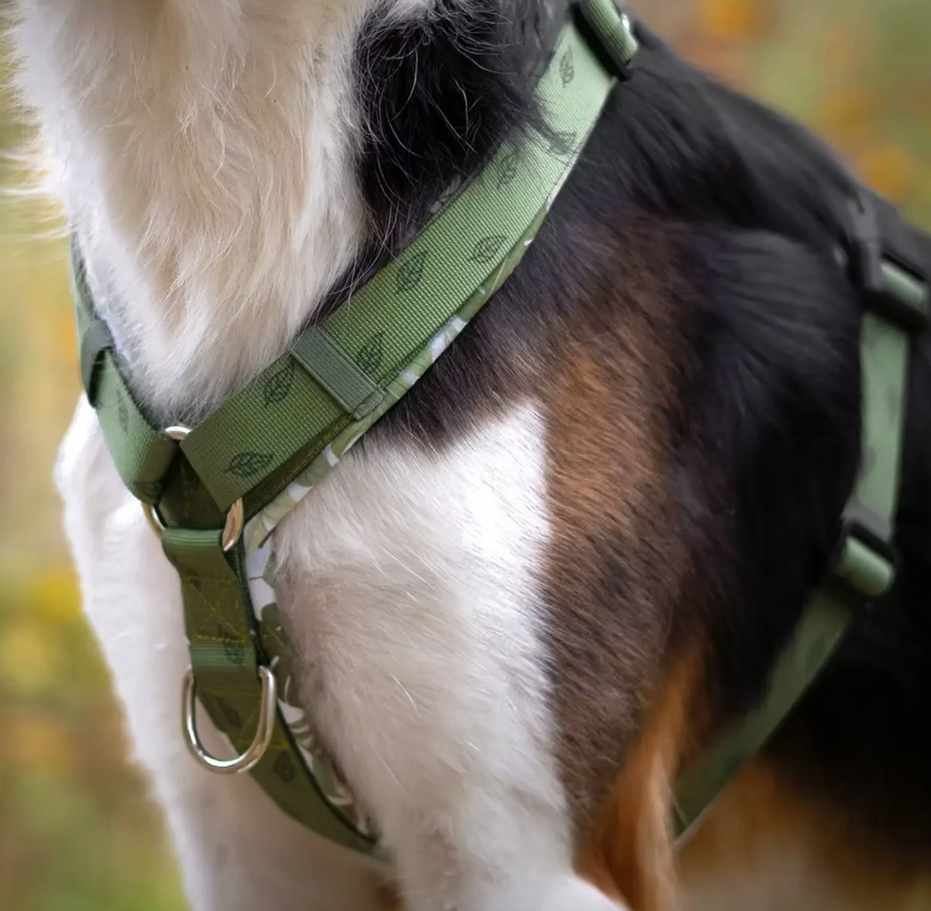 LOLINQ Geschirr - Urban Jungle, grün