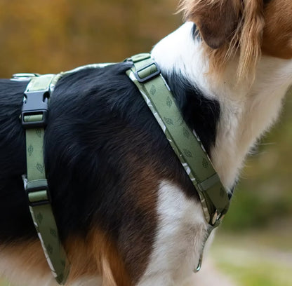 LOLINQ Geschirr - Urban Jungle, grün