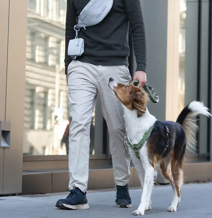 LOLINQ Geschirr - Urban Jungle, grün