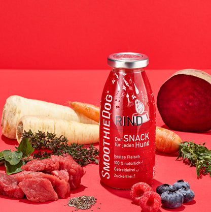SMOOTHIE DOG - Rind