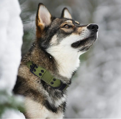 Hundehalsband Doppelstiftschnalle - Navy