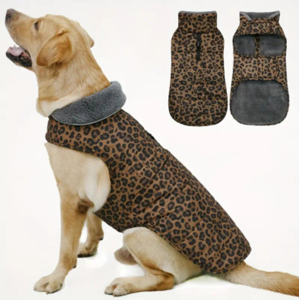 CROCI - Wintermantel Leo