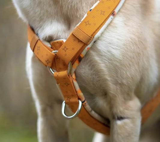 LOLINQ Geschirr - Orbital Planets, gelb