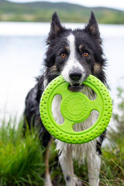 KIWI WALKER - Frisbee Maxi, grün