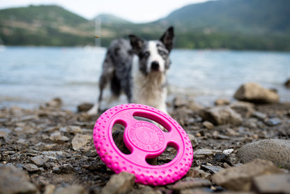 KIWI WALKER - Frisbee Maxi, pink