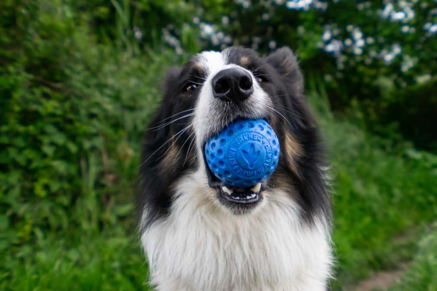 KIWI WALKER - Ball Maxi, blau