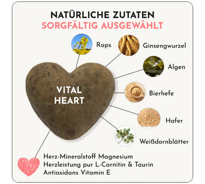 DOGGYLOVE - Vital Heart