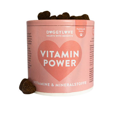 DOGGYLOVE - Vitamin Power
