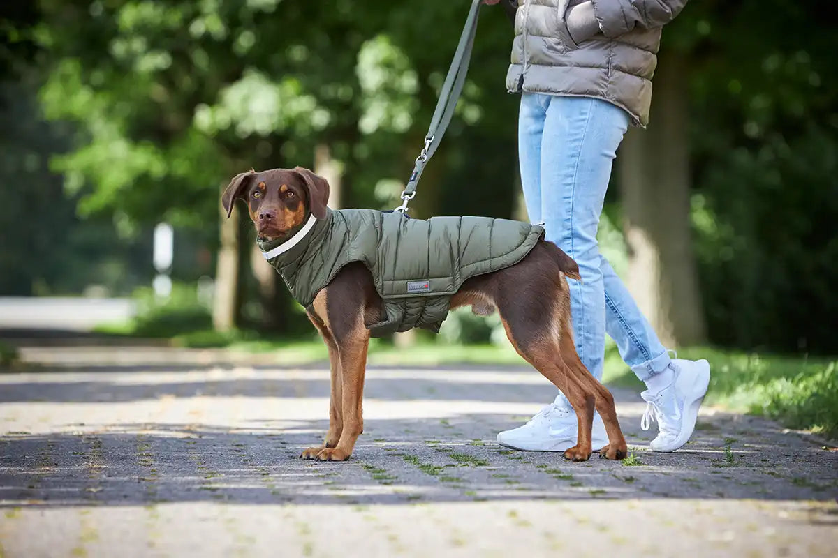 WOLTERS - Winterjacke Cozy Olive