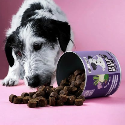 TIERLIEBHABER - Chillout Drops