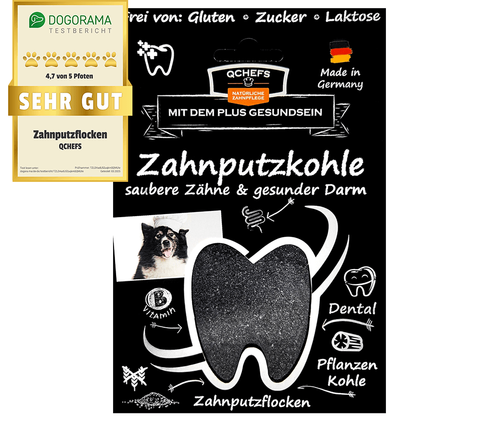 QCHEFS - Zahnputzkohle