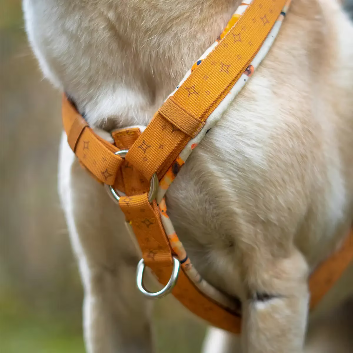 LOLINQ Geschirr - Orbital Planets, gelb