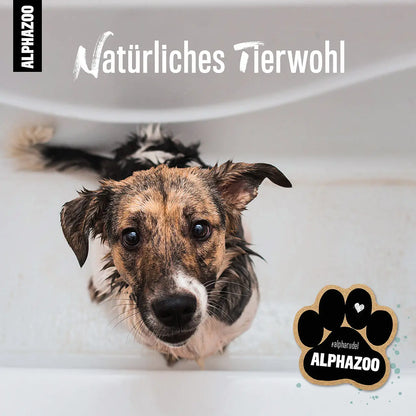 ALPHAZOO - Repair Care Shampoo