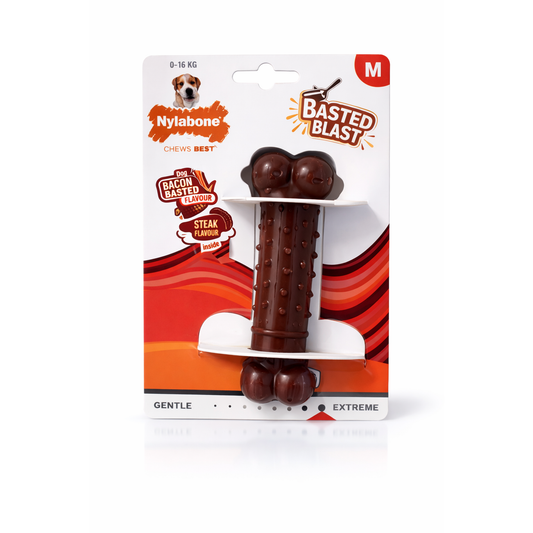 NYLABONE - Basted Bone, Bacon L