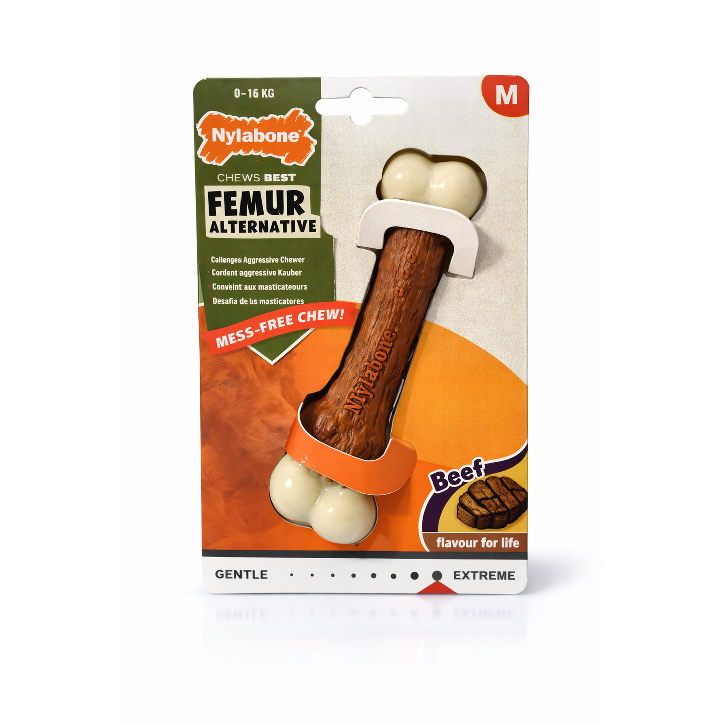 NYLABONE - Femur Beef, M