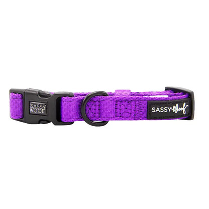 SASSY WOOF Halsband - Neonviolett