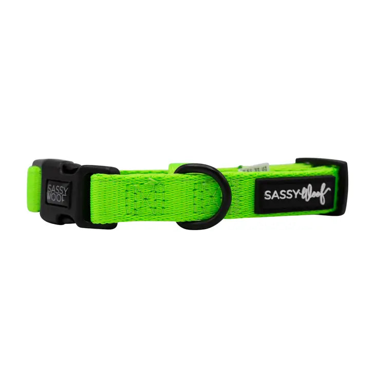 SASSY WOOF Halsband - Neongrün