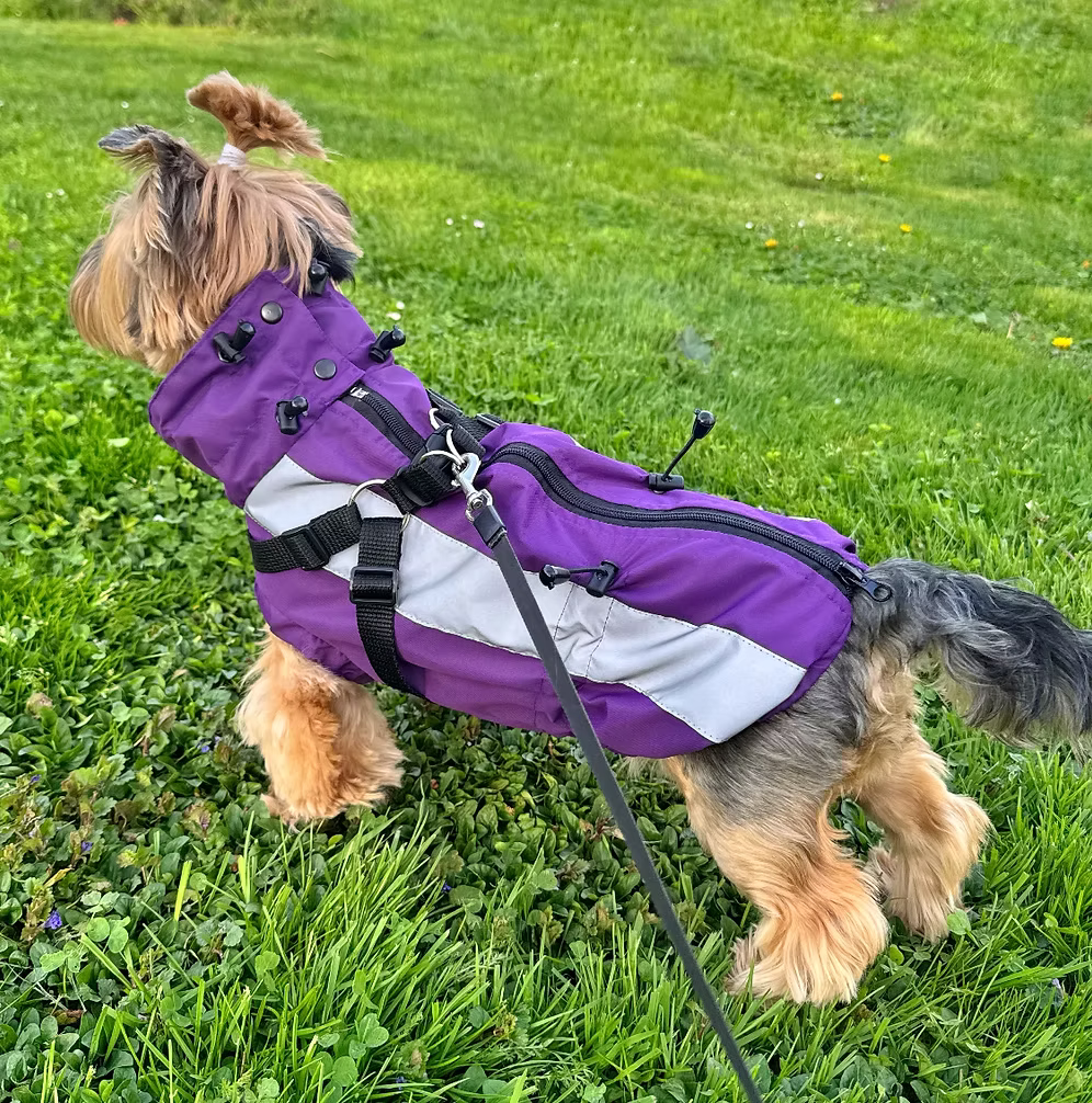 HAPPYMAFFI Regenjacke - violett