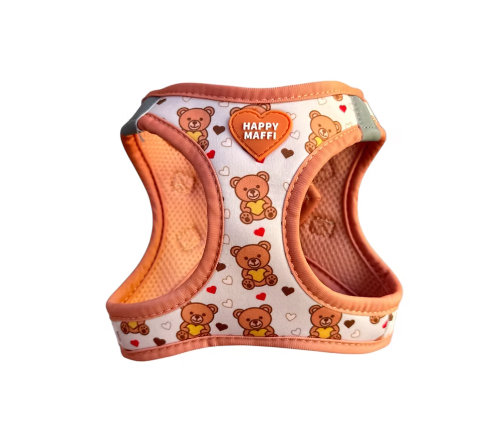 HAPPYMAFFI Geschirr - Teddy