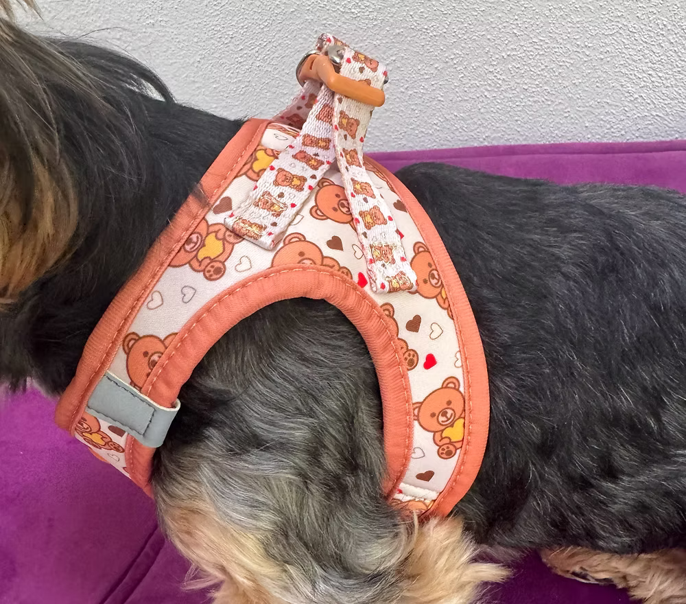 HAPPYMAFFI Geschirr - Teddy