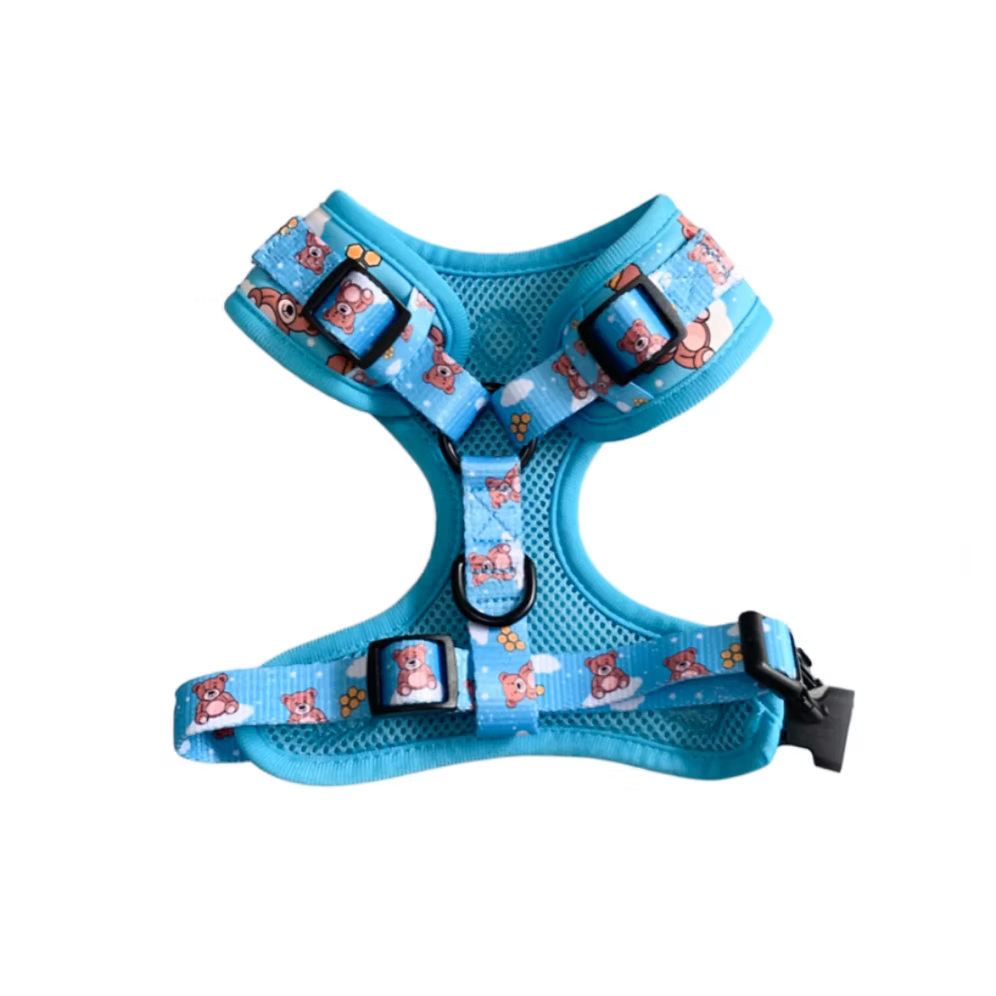 LITTLE WALKIES Geschirr - Bären blau