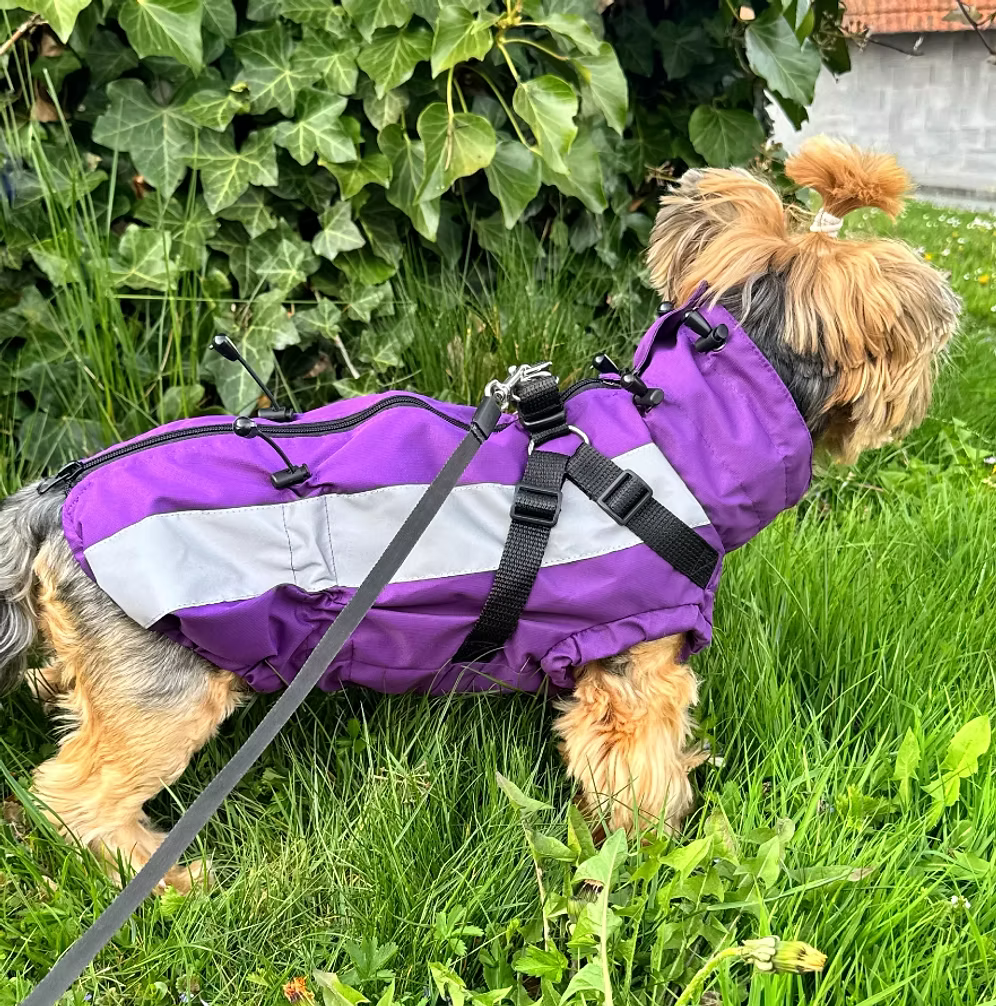 HAPPYMAFFI Regenjacke - violett