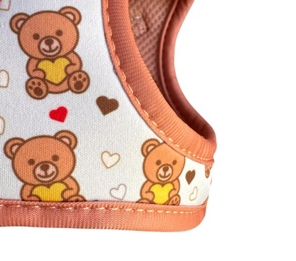 HAPPYMAFFI Geschirr - Teddy