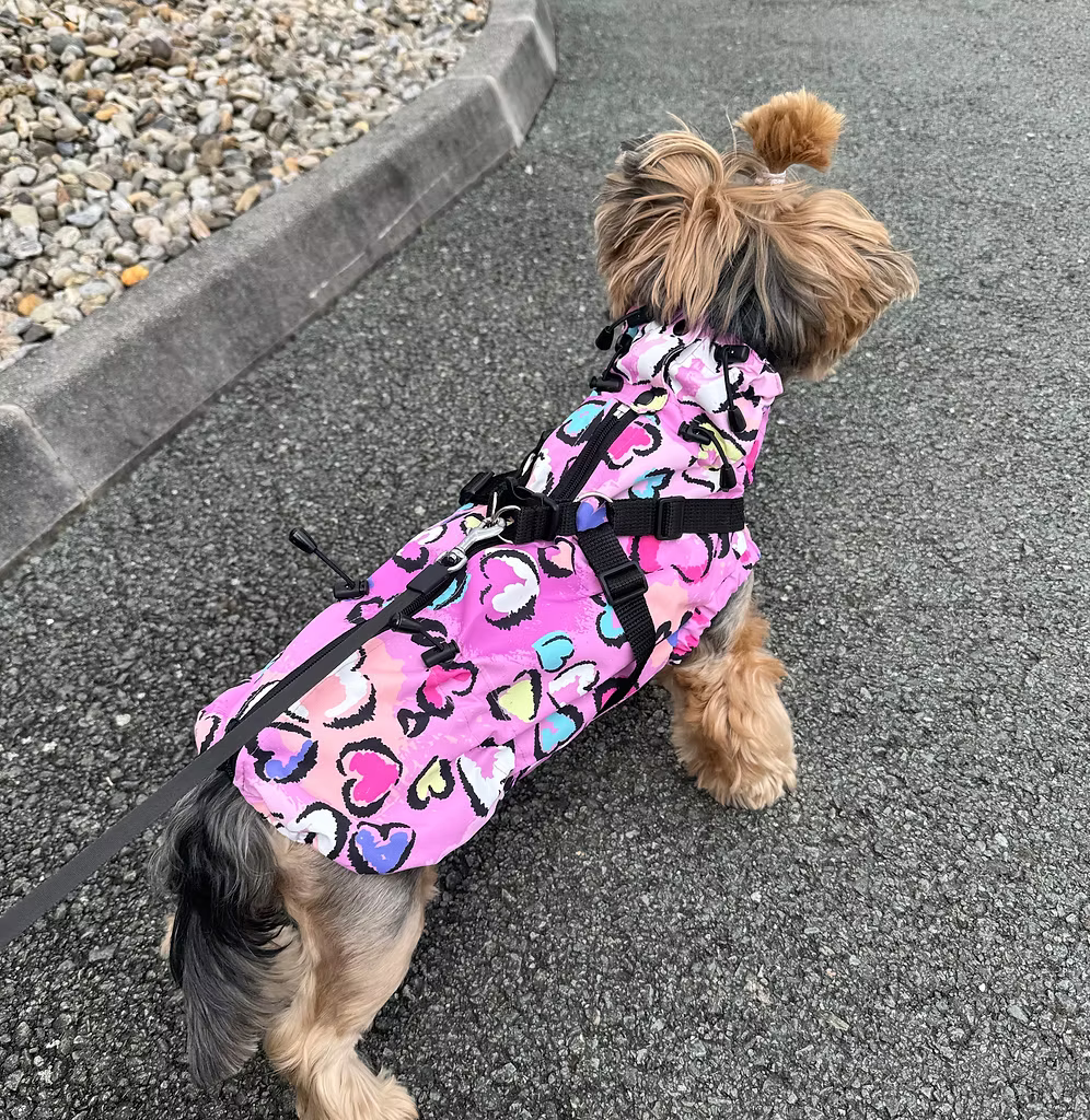 HAPPYMAFFI Regenjacke - Herzchen