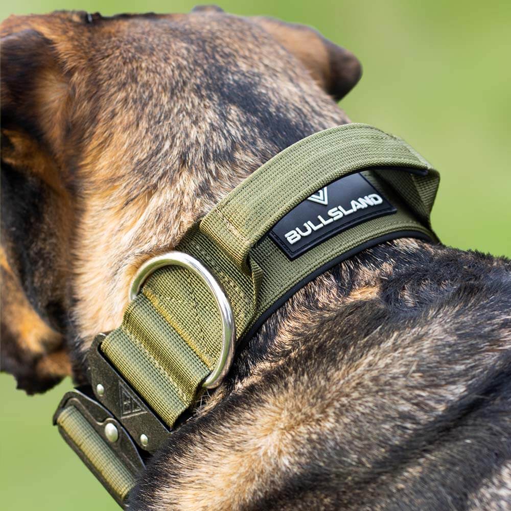 BULLSLAND DOGWEAR - Halsband mit Griff - Navy Green