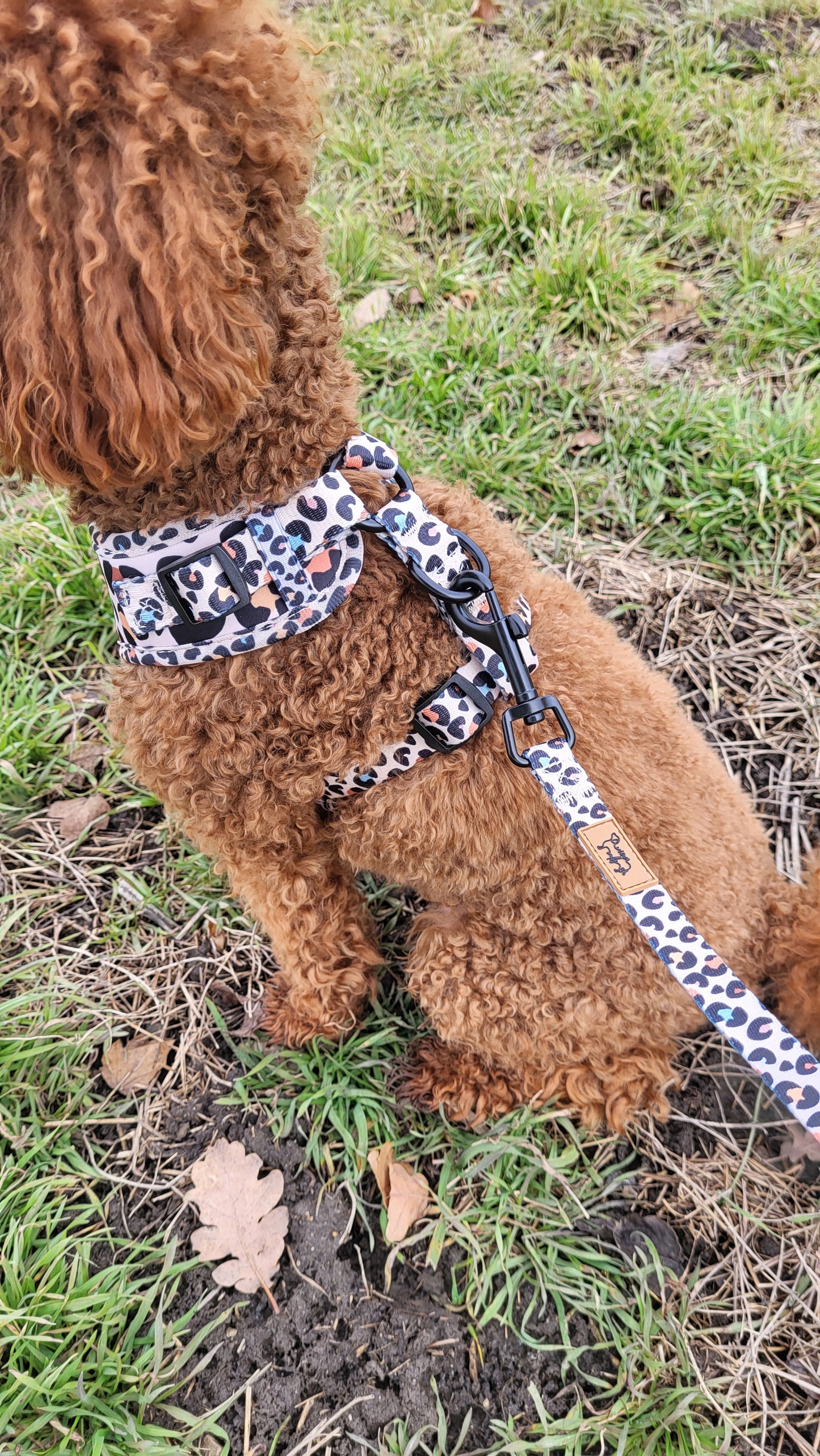 WIENER WALKS - Leine Wild Paws