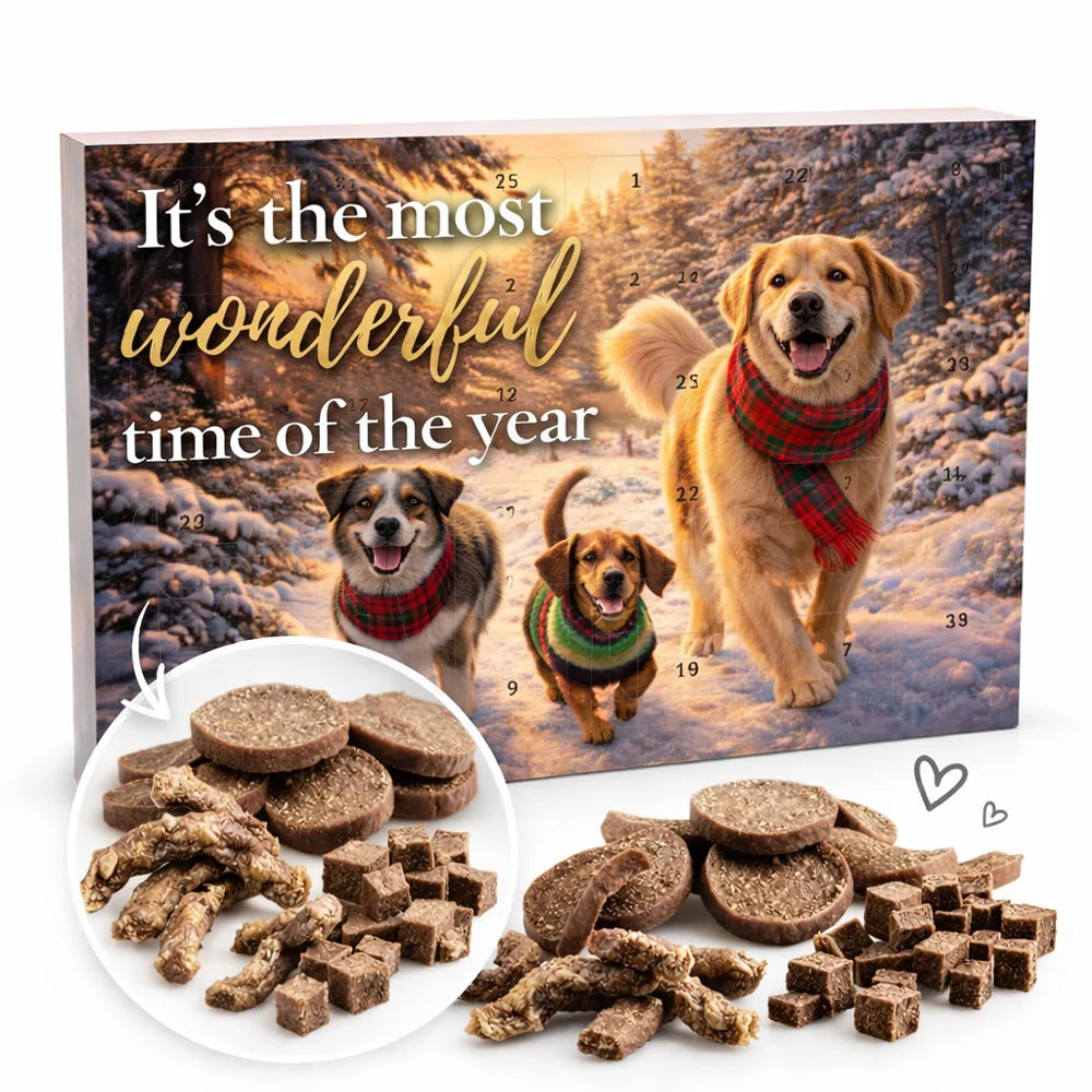 Adventskalender für Hunde