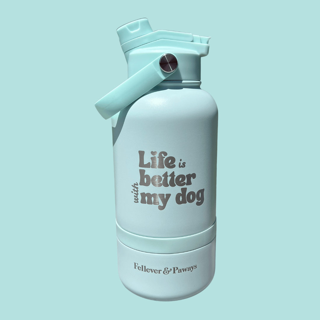 FELLEVER & PAWAYS dog&me 2-in-1 Trinkflasche - Mint