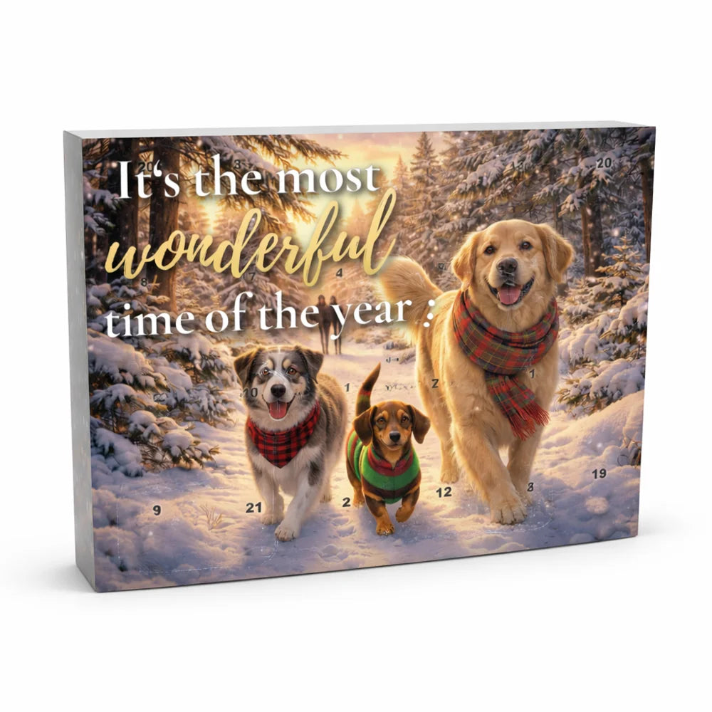 Adventskalender für Hunde