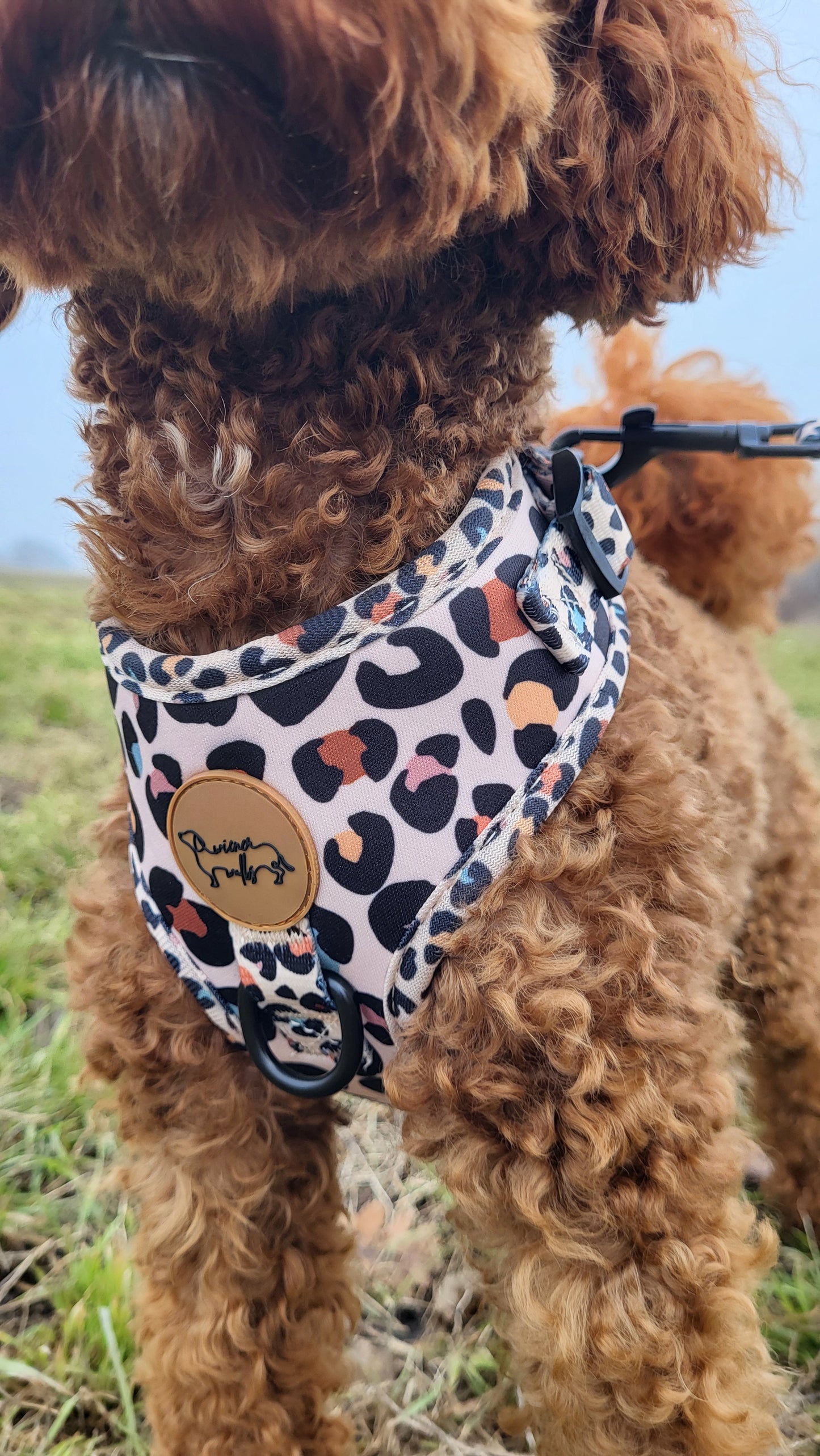 WIENER WALKS - Geschirr Wild Paws