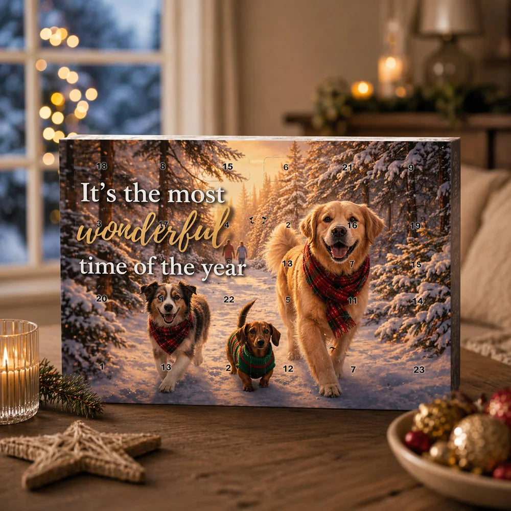 Adventskalender für Hunde